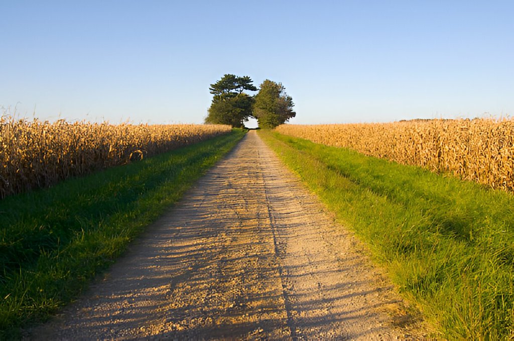 acres big farm trees horizontal