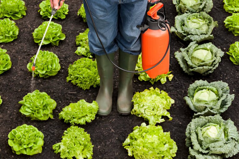 spraying crops garden