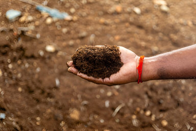 coconut coir in farmland