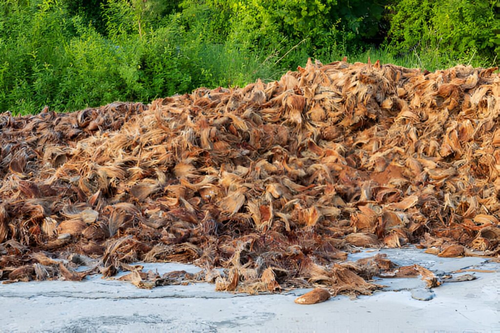 piles of dried coconut shells